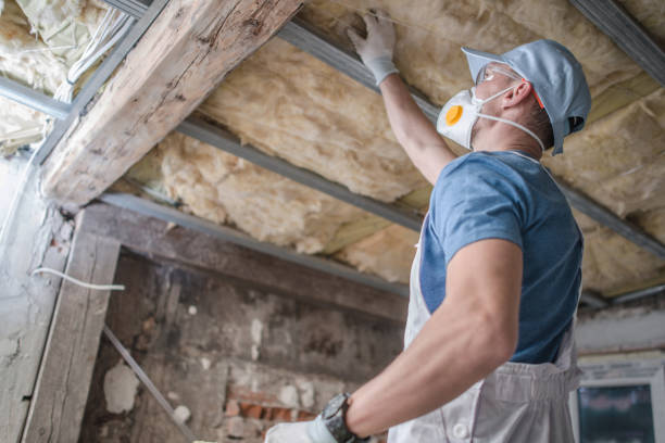 Best Insulation for New Construction  in Van Alstyne, TX