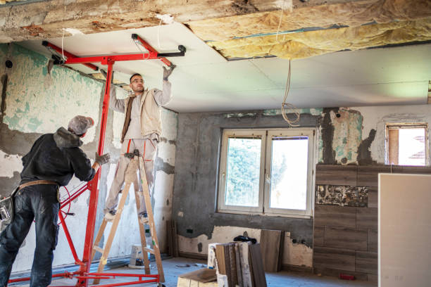 Best Insulation Installation Cost  in Van Alstyne, TX