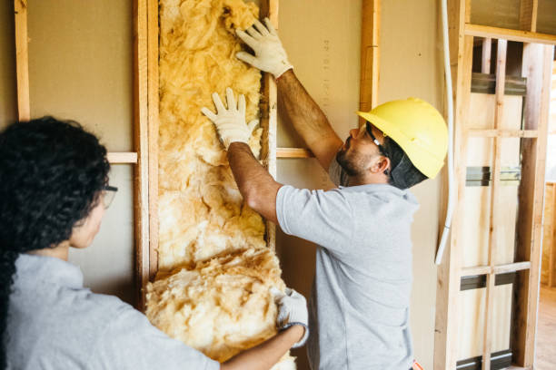 Garage Insulation Installation in Van Alstyne, TX