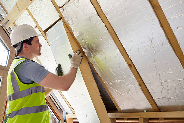 Best Insulation Contractor Near Me  in Van Alstyne, TX